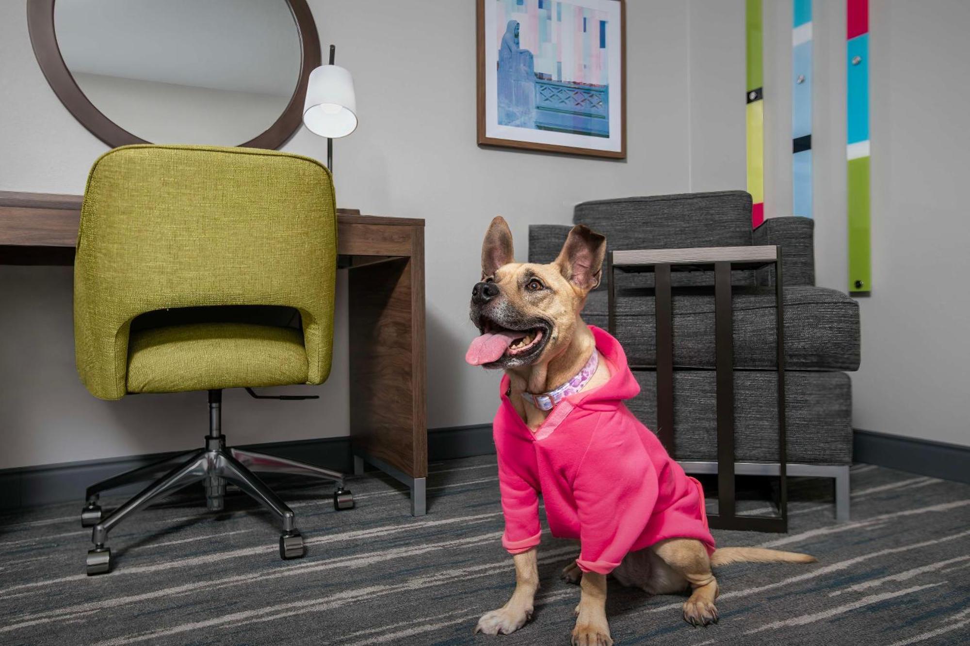 Hampton Inn Yorkville Eksteriør bilde